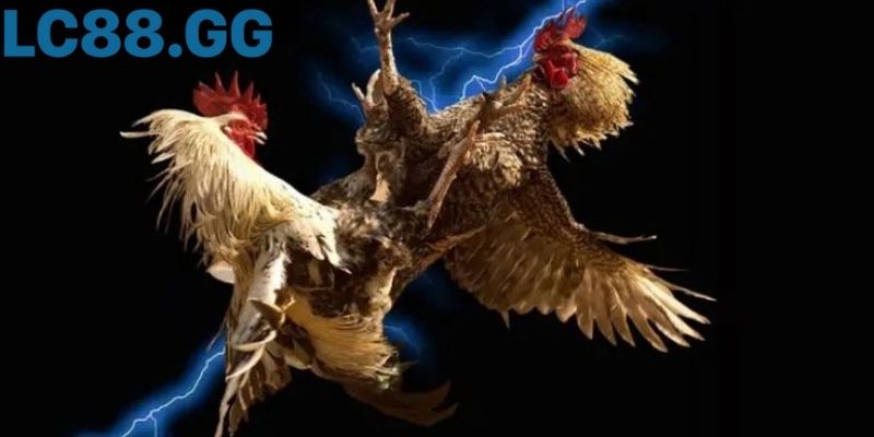 Cú quạt cánh quyết định trong hiệp cuối