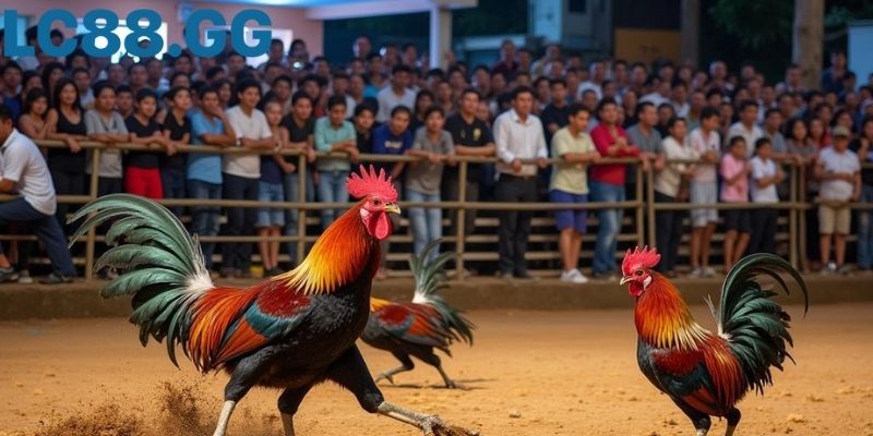 Khán đài kín chỗ, góc nhìn từ trên cao