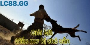 giấc mơ bị chó cắn và ý nghĩa điềm báo sắp tới